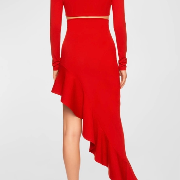 Susana Mónaco two piece set cropped top and asymmetrical high waisted skirt set - Picture 5 of 5